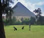 golf in cairo